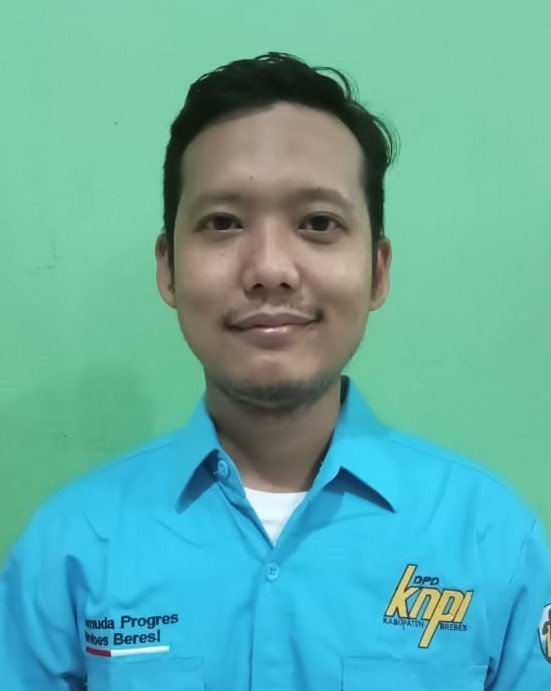 Analyst